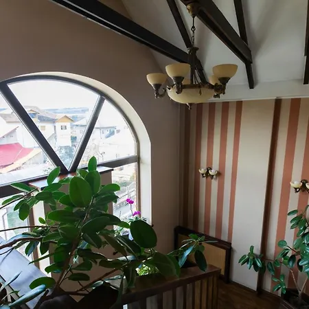 招待所 Pensiunea Casa Vera